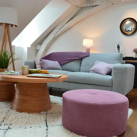 Loft De 110m² Dans Le Coeur Historique D'angers Apartment