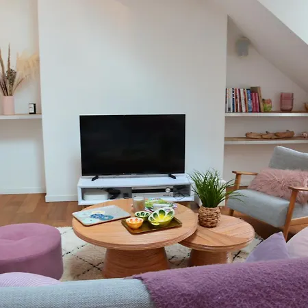 Apartment Grand Loft 110m Coeur Historique Et Parking Prive Rare