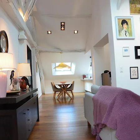 Lägenhet Grand Loft 110m Coeur Historique Et Parking Prive Rare *