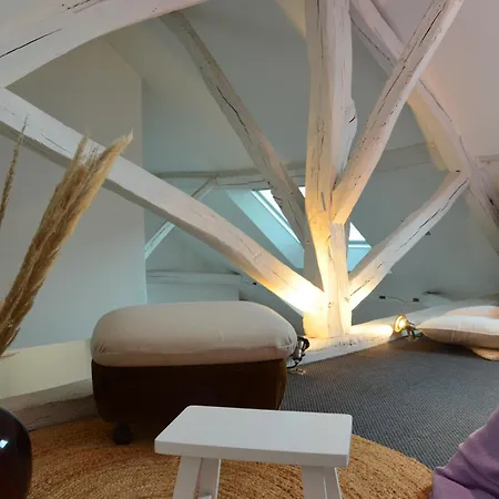 Grand Loft 110m Cœur Historique Et Parking Privé Rare Apartamento Angers