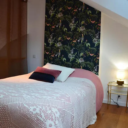 Grand Loft 110m Coeur Historique Et Parking Prive Rare * Angers