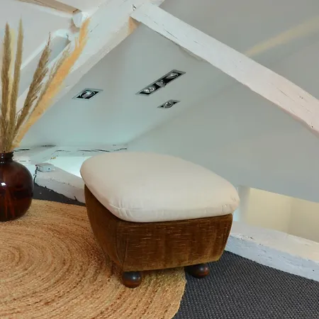 Loft De 110m² Dans Le Coeur Historique D'angers *