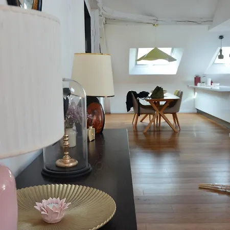 Grand Loft 110m Cœur Historique Et Parking Privé Rare Angers