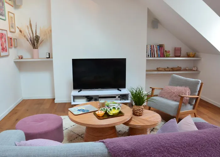 Apartman Grand Loft 110m Coeur Historique Et Parking Prive Rare