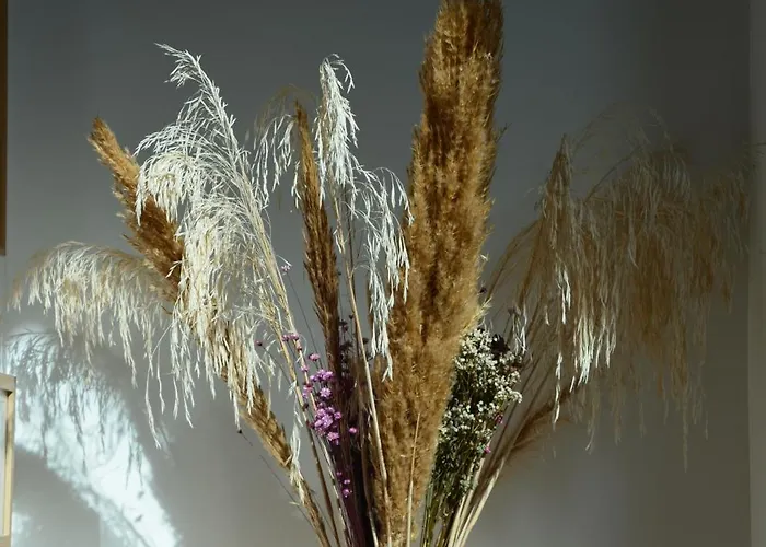 Grand Loft 110m Coeur Historique Et Parking Prive Rare Apartment *