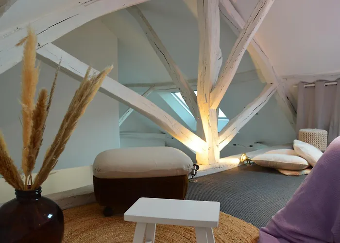 Grand Loft 110m Coeur Historique Et Parking Prive Rare Appartement Angers