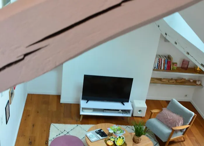 Grand Loft 110m Coeur Historique Et Parking Prive Rare Apartment Angers