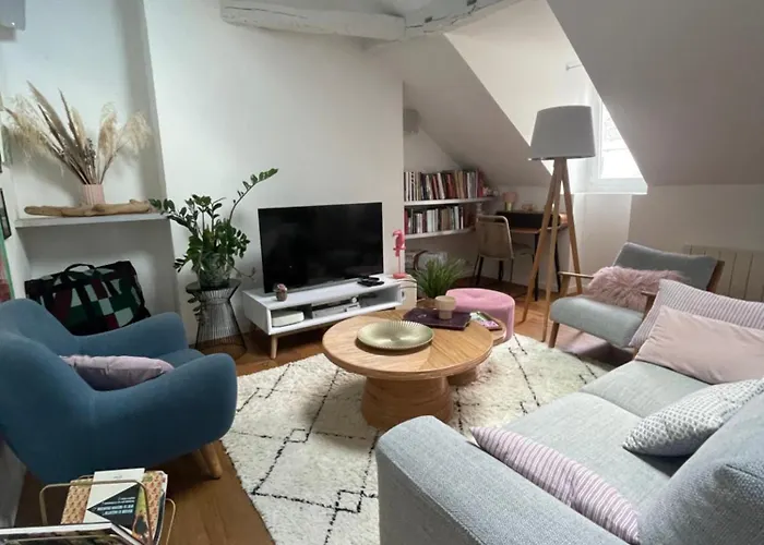 Apartman Grand Loft 110m Coeur Historique Et Parking Prive Rare